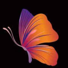 lls19930101@gmail.com