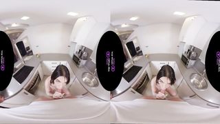 VirtualRealTrans - Call your insurance