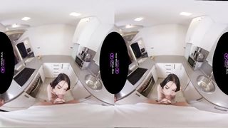 VirtualRealTrans - Call your insurance