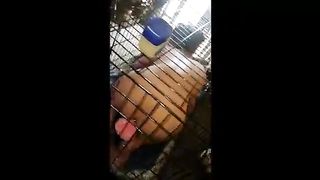 TsSnowyBunny houston milky Tgirl bottom mega-slut trap locked