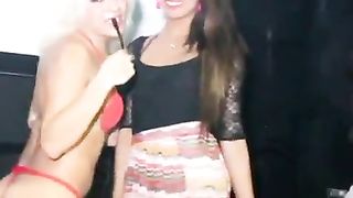 She-Masculines halloween Soiree