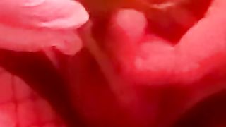 My lil' clitty tantalized with nettles