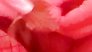 My lil' clitty tantalized with nettles