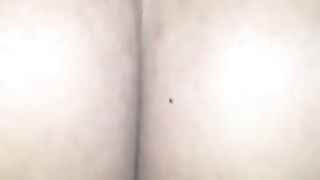 Mexican internal cumshot