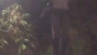 demonstrating bosoms and culo at van stop