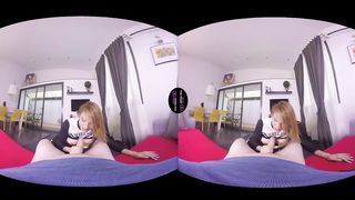 VirtualRealTrans - Where is my cat