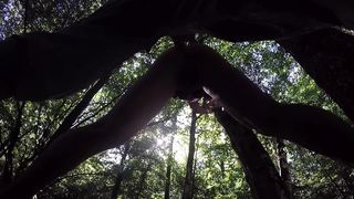 ToutePourVous : sissy rectally plowed in the forest