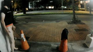 public 51 night walk & jizz