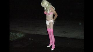 A DAY OD SPUNKING IN PINKISH