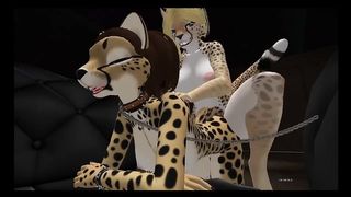 Cheetah Joy with Clawdia and Day