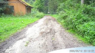 She-Creature Outdoor