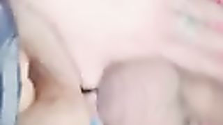 polka rosy 3layla & sugar