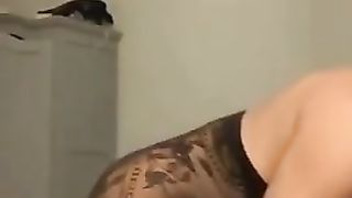 Wondrous tranny plumbs man