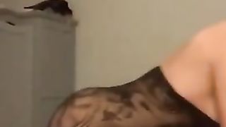 Wondrous tranny plumbs man