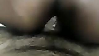 Mulata Splendid and nasty and highly busy