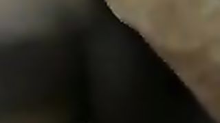 Mulata Splendid and nasty and highly busy