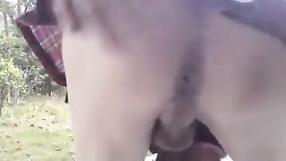 chinese CD jacks outside