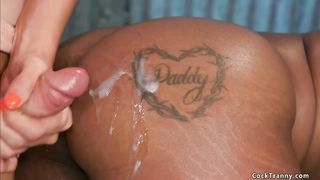 Huge prick TRANSSEXUAL humps big-boobed black (Daizy Cooper, Aspen Brooks)