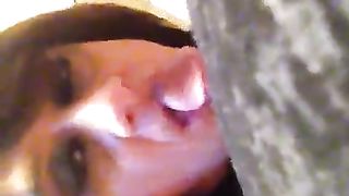 Kylee Queen the juicy lil' sissy providing super-naughty father a suck off with her succulent tiny facehole up close glance