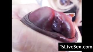 Ultra-Kinky Live Trans Hook-Up 100