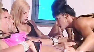 1 doll, 1 boy two trans