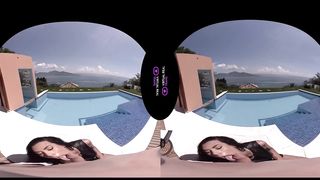 VirtualRealTrans.com - Real estate fucky-fucky