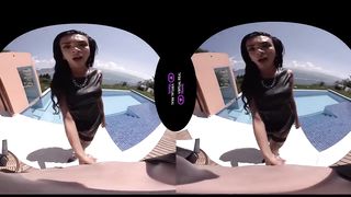 VirtualRealTrans.com - Real estate fucky-fucky