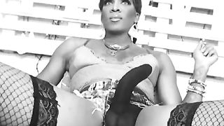 Intensity Top Trans plays with her BIG BLACK COCK thru erection thong