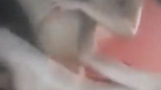 She-Male Letting two Folks Run a Instruct on Her