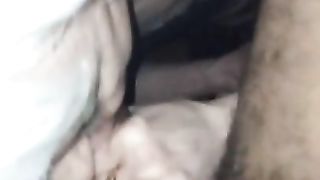 Massive dark-hued trunk