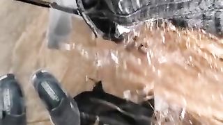 Fresh glory breezy 1