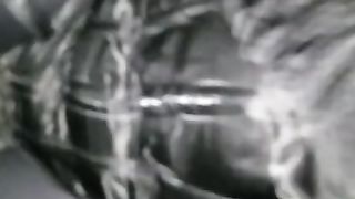 Glory slot tramp four