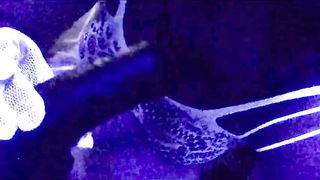 Vanesa blowing her dark-hued boy's manhood