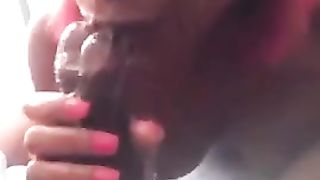 SHE-CREATURE FACEHOLE GAGGERS