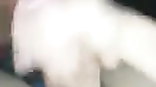 Puta a mamar em Almasa