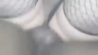 Cabalgata a daniela y grita rico