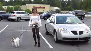 Someday We'll be Together