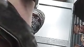 Arch Me Over and Get Some