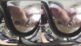 Sissy Teaching Part 1 - close up sissygasm (stationary)