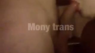 Dottoressa Mony trans