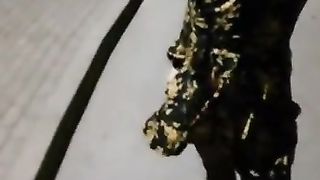 Showcase with AbbyCD