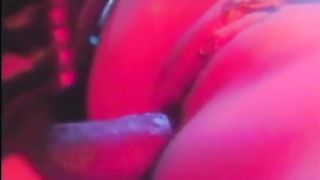 TRANSSEXUAL Reformatory