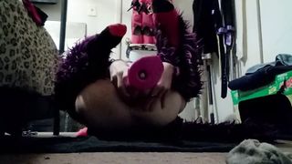 t. lays four eggs in kitty 1 got stuck