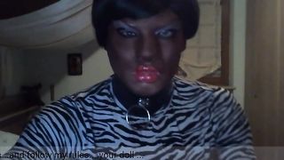 Black hooded leopard stunner