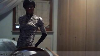 Black hooded leopard stunner