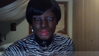 Black hooded leopard stunner