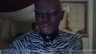 Black hooded leopard stunner