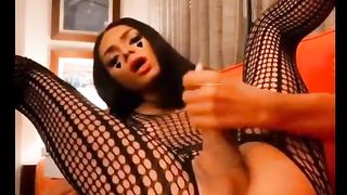 Want to go to T-Model Haven five