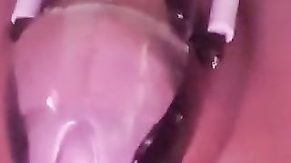 Christina takeing a good-sized monstrous crimson ass-plug with electro chasity