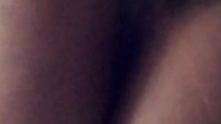 La Nefertiti Perkins Cool Bathroom Have Fun